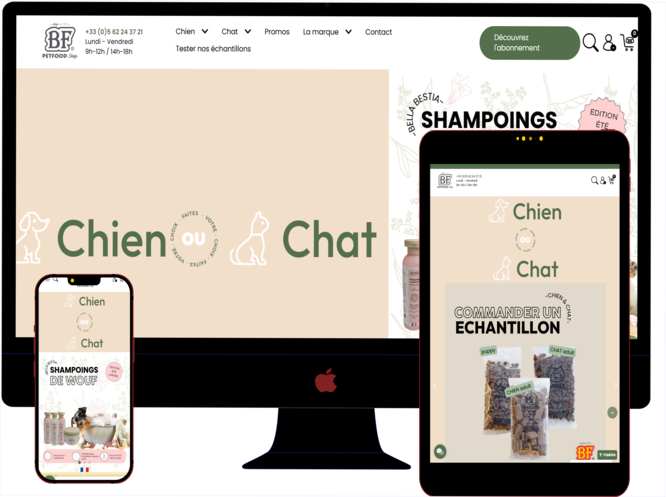 Capture d'écran du site personnel - Thème responsive